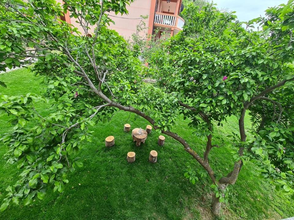 Holiday Home Vulezic บาร์ ภายนอก รูปภาพ
